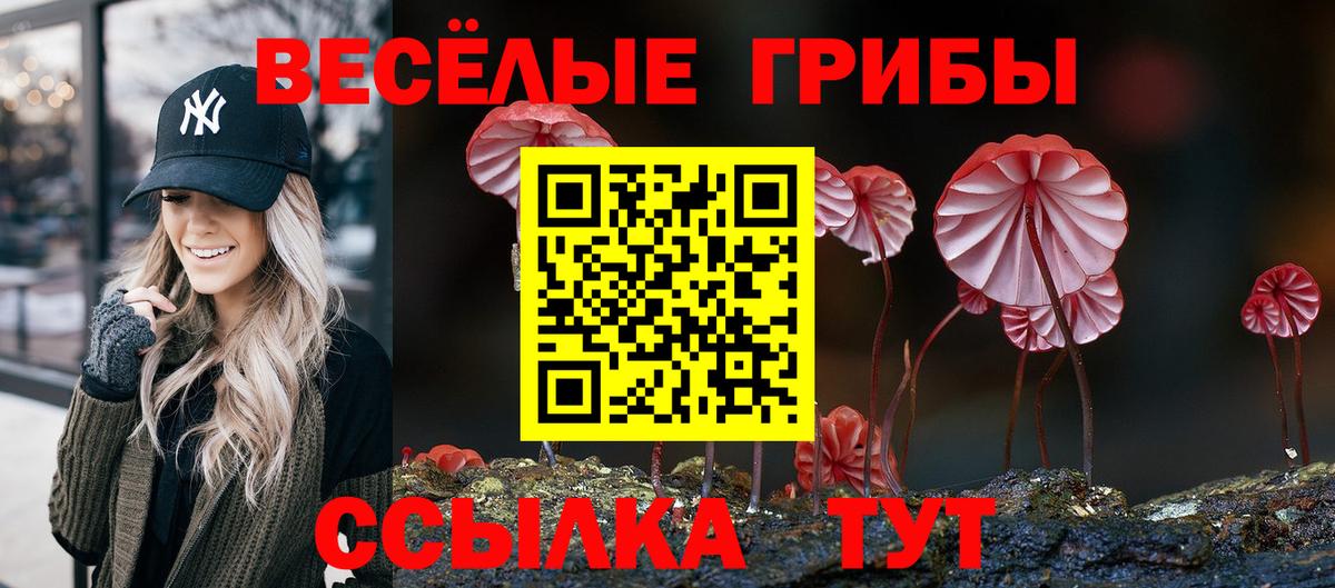 Галлюциногенные грибы мухоморы  Вход с VPN  Галлюциногенные грибы MAGIC MUSHROOMS  Сосновоборск 