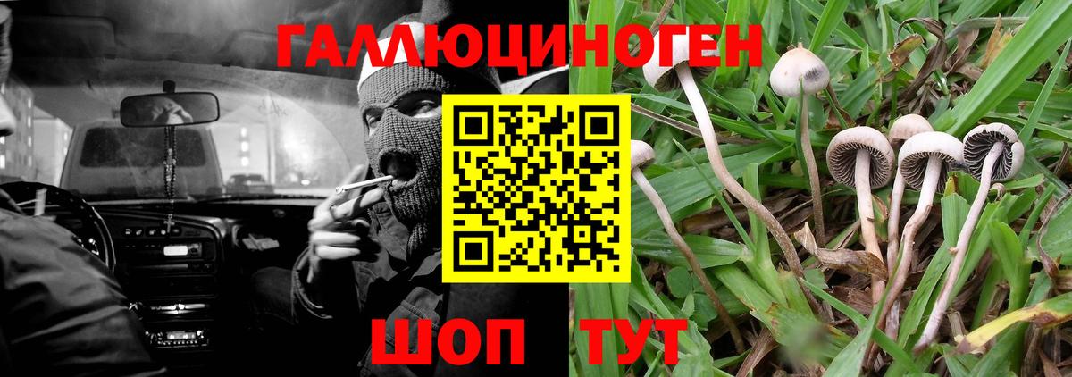 A-PVP Сосновоборск